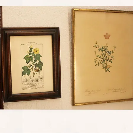 A In The بيت شباب *