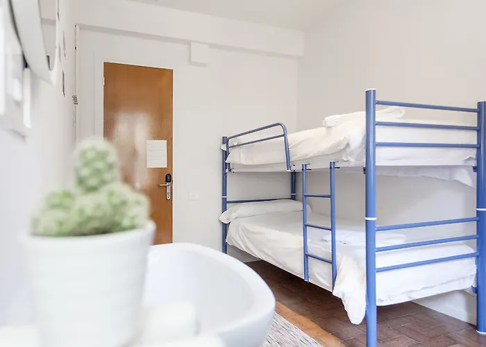 호스텔 A In The *